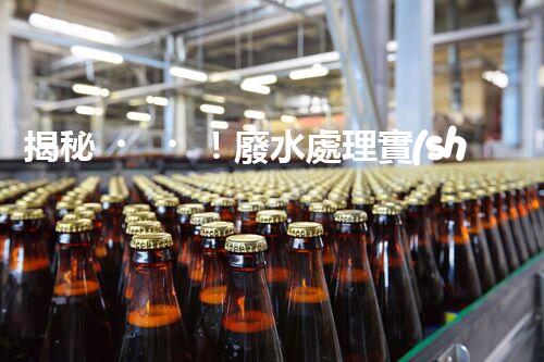 揭秘！廢水處理實(shí)驗(yàn)的終極處理方案？